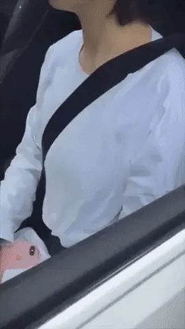 Luxury Suede Seat Belt Cover (2 pcs)